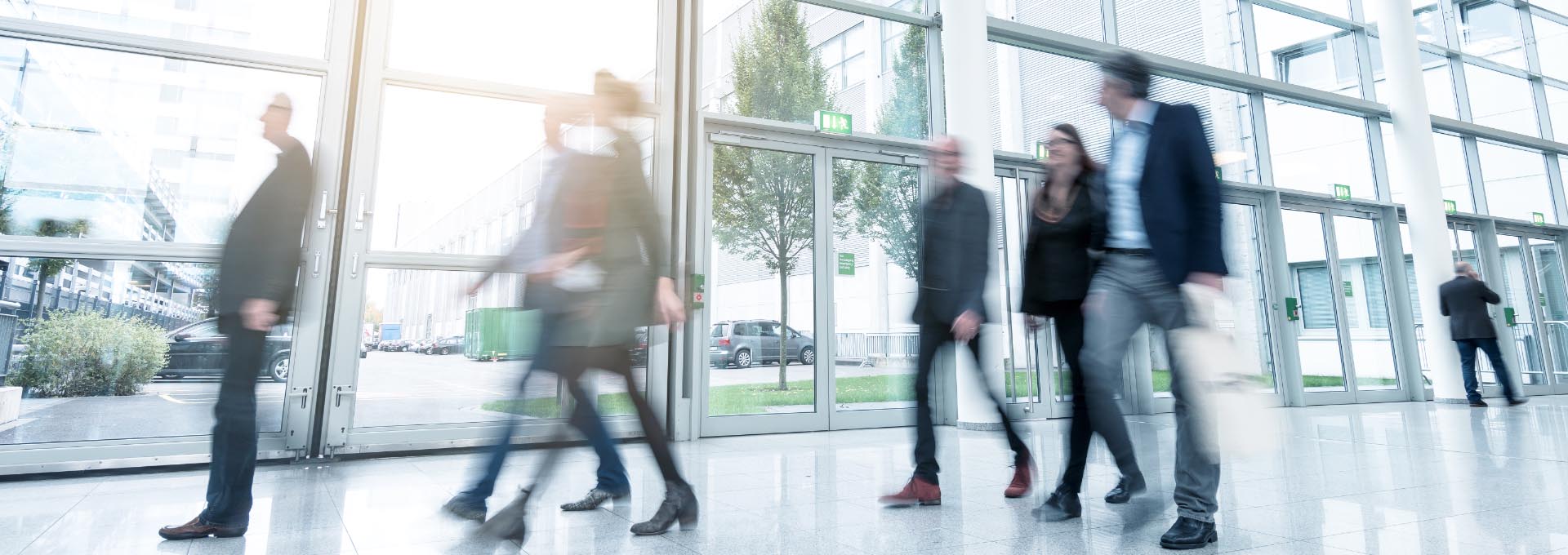 9 processer: Det kan du forvente som netværksdeltager