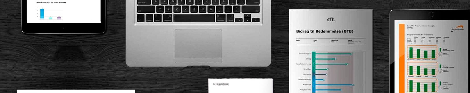 Siger personlighedstest noget om dig og dine evner?