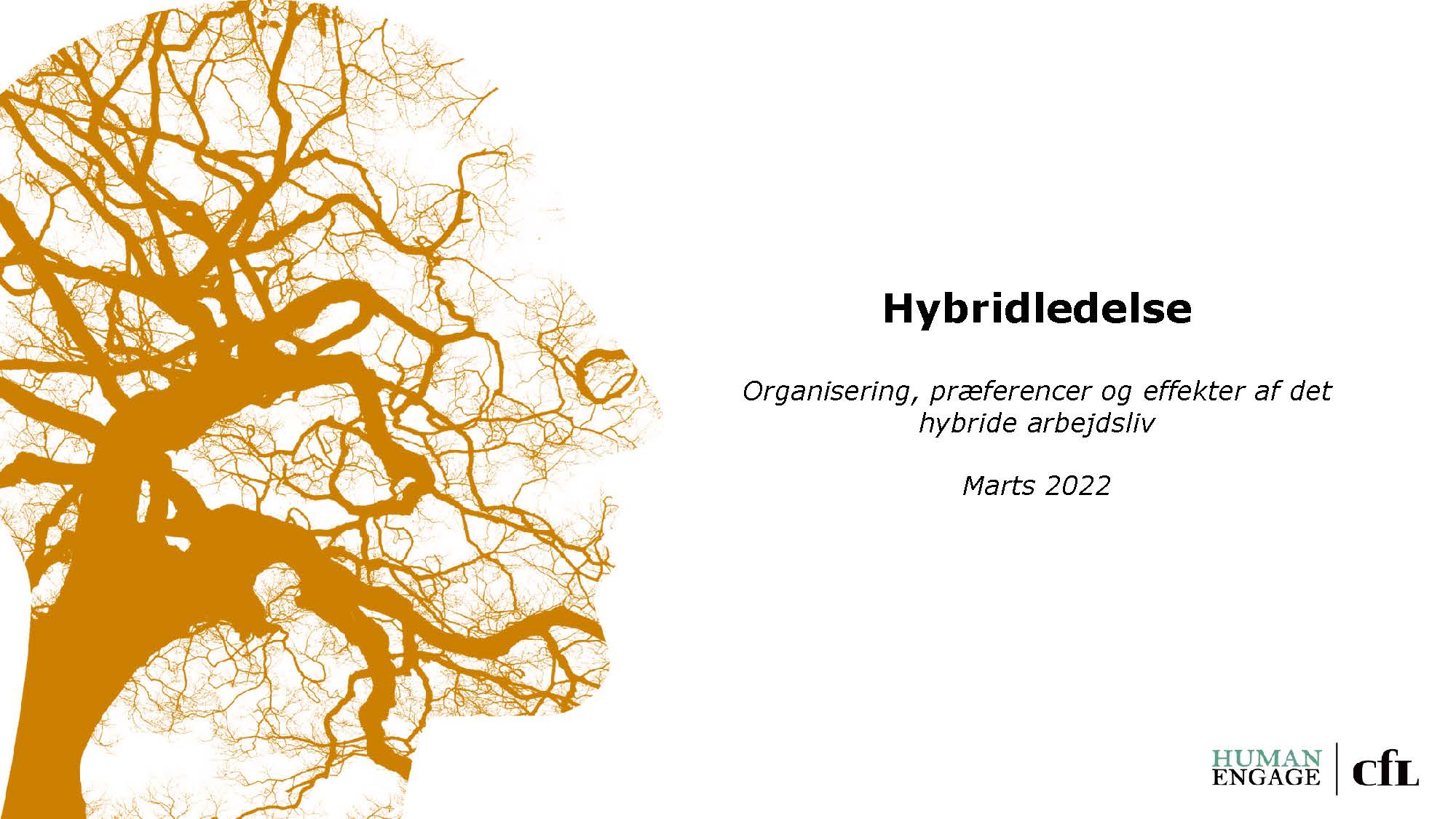 Gratis download - Rapport om hybridledelse og mental sundhed