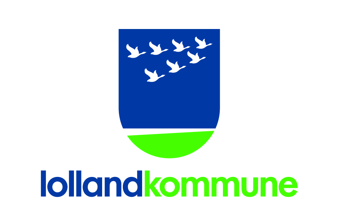 Case: Strategiarbejde: ”De fagansvarlige kan stort set gøre, hvad de vil”