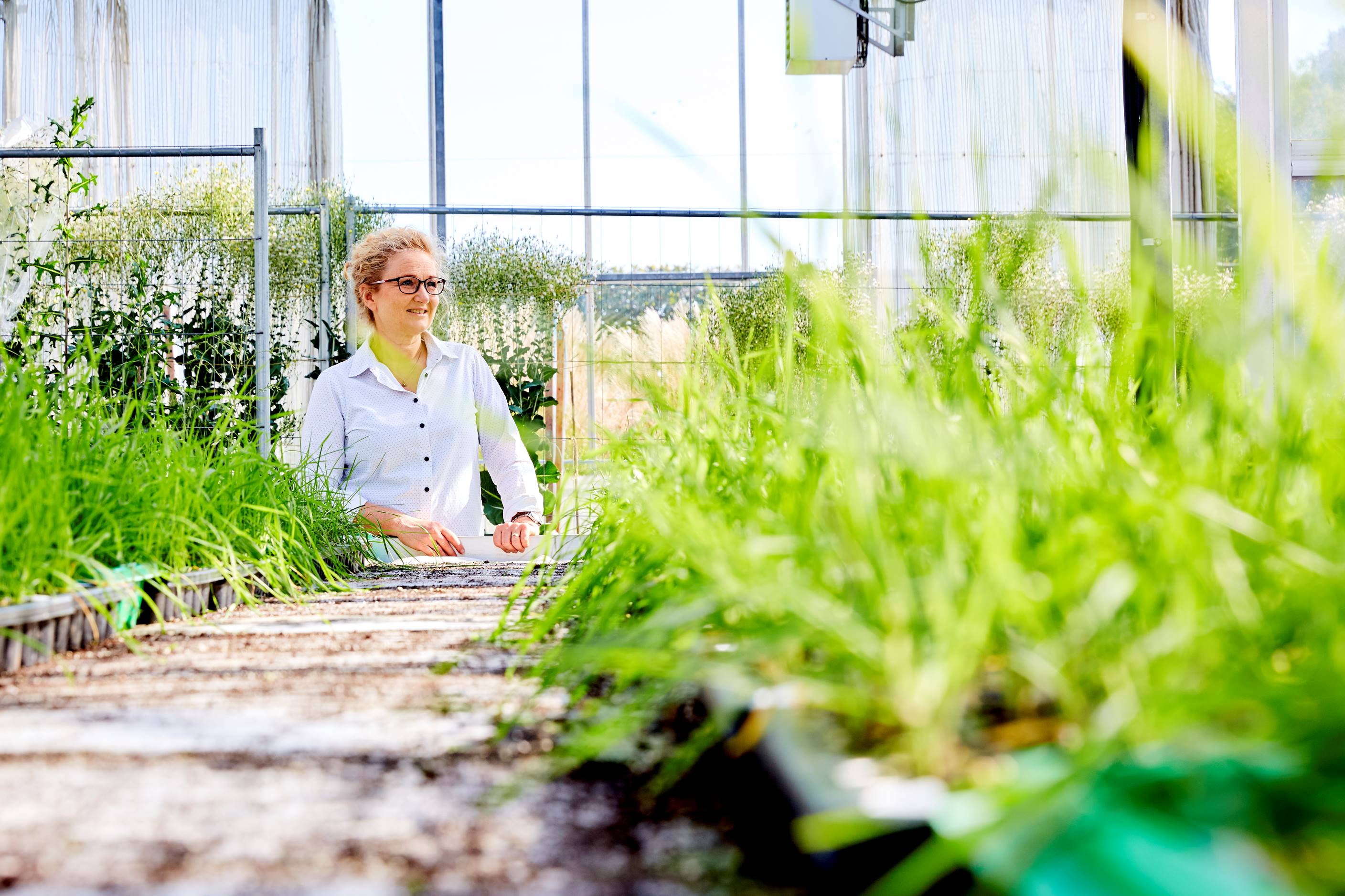 Kortlægning af JTI-profiler satte skub i ny strategiproces