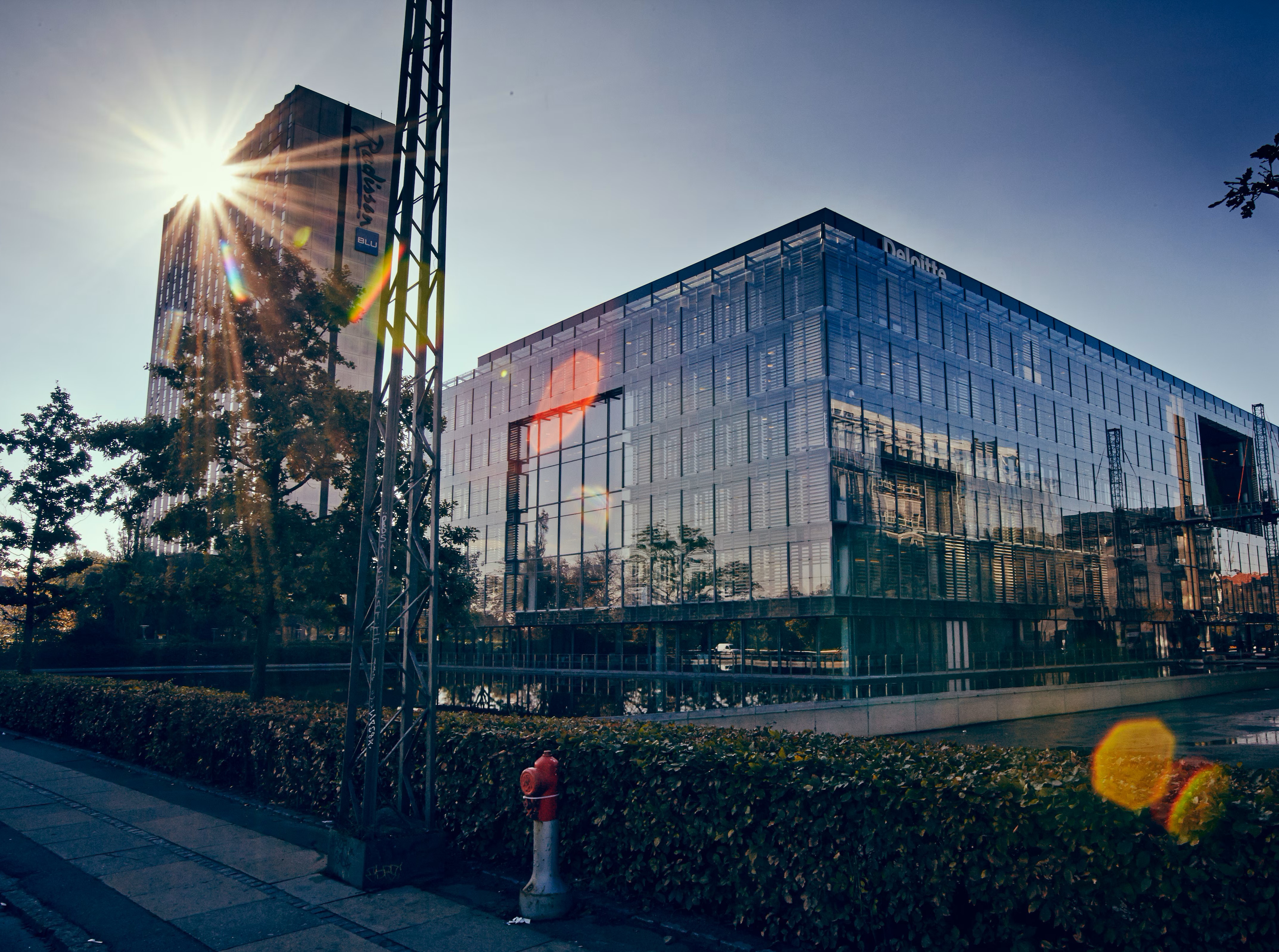 Case Study: Deloitte's Approach to Psychological Safety